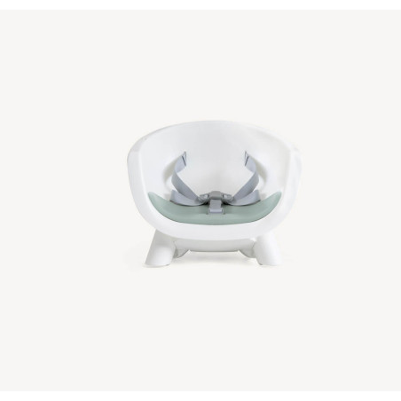 Joie Trona multimodo 9 en 1 Chestnut Mist