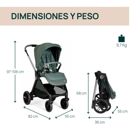 Chicco Coche Duo Bellagio y Gran Comfort Fir Tree