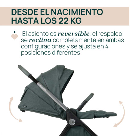 Chicco Coche Duo Bellagio y Gran Comfort Fir Tree