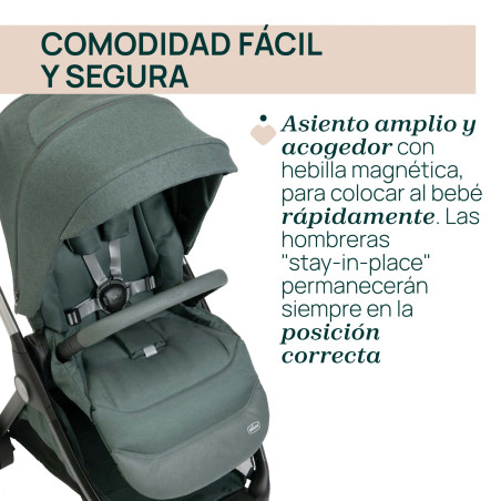 Chicco Coche Duo Bellagio y Gran Comfort Fir Tree