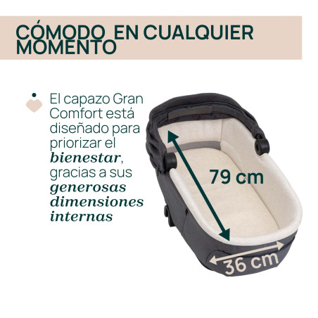 Chicco Coche Duo Bellagio y Gran Comfort Fir Tree