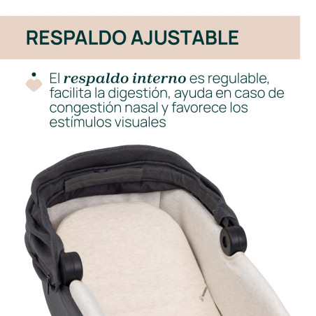 Chicco Coche Duo Bellagio y Gran Comfort Fir Tree
