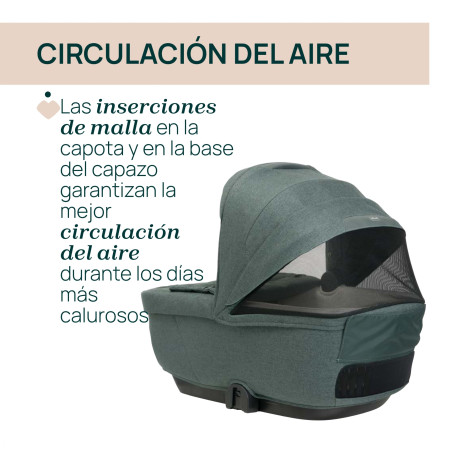 Chicco Coche Duo Bellagio y Gran Comfort Fir Tree