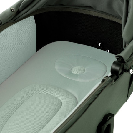 Jané Coche Duo Keep + capazo Sleep | Botanic