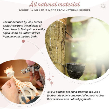 Sophie la Girafe Set regalo + libro de aprendizaje + sonajero