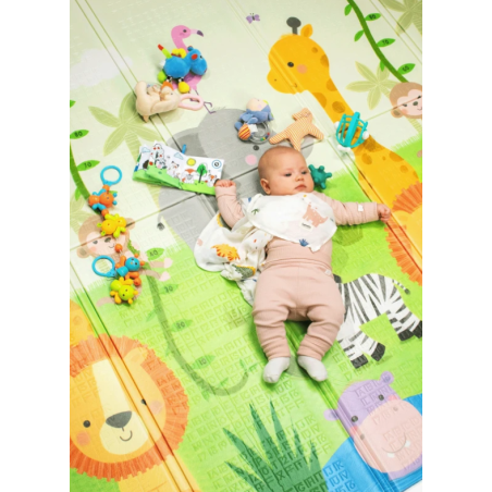 Lionelo Alfombra educativa Robby multicolor
