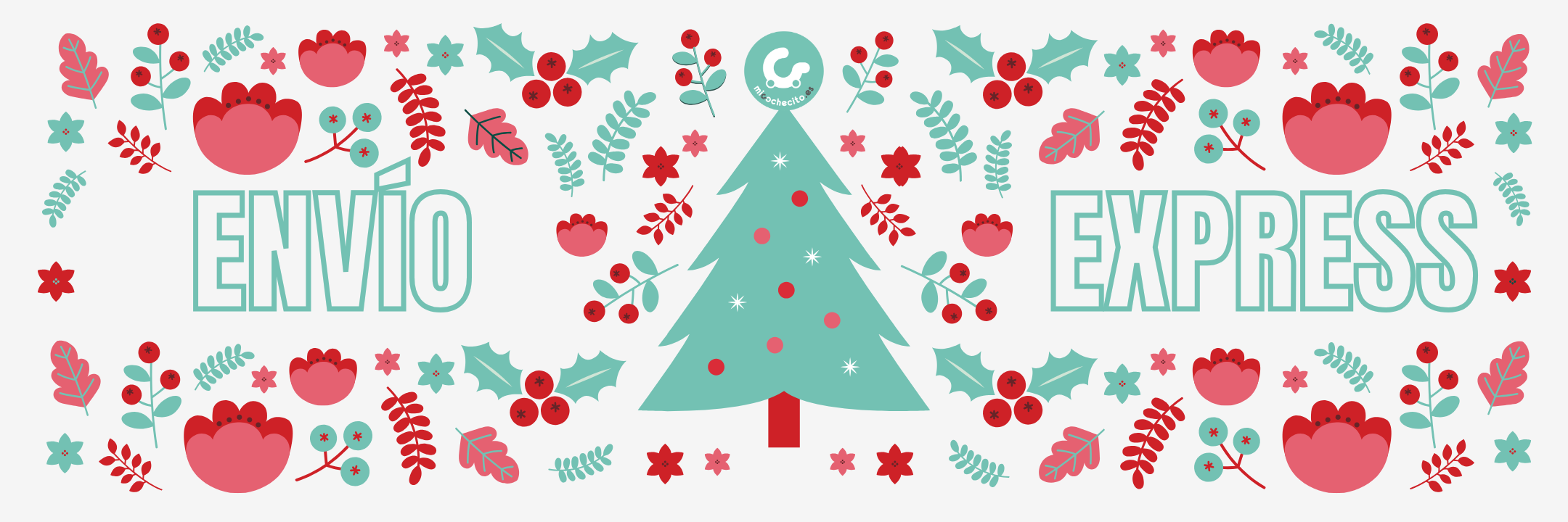 ENTREGA EN NADIDAD DE 24 A 48 HORAS